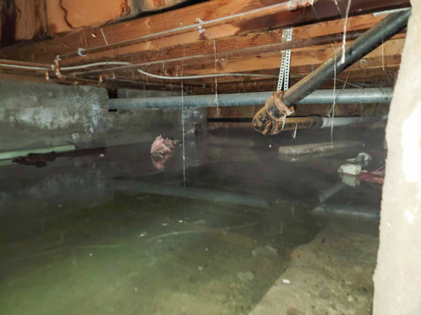 Best Sewage cleanup and water damage restoration  in Metairie, LA