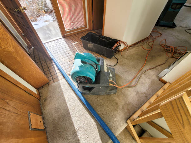 Best Water damage restoration specialists  in Metairie, LA