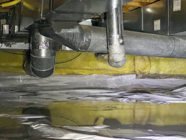 Best Ceiling water damage repair  in Metairie, LA