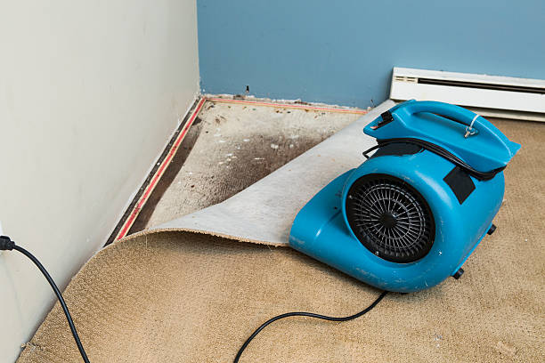 Best Flooded house restoration  in Metairie, LA
